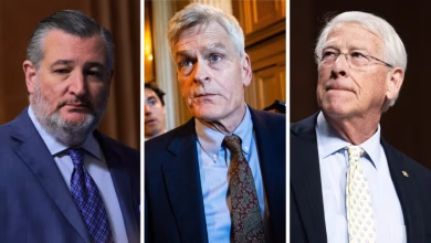 US President Donald Trump's recently announced agreement with Iran has drawn rare criticism from several influential Republican leaders, marking an unusual display of dissent within the party.